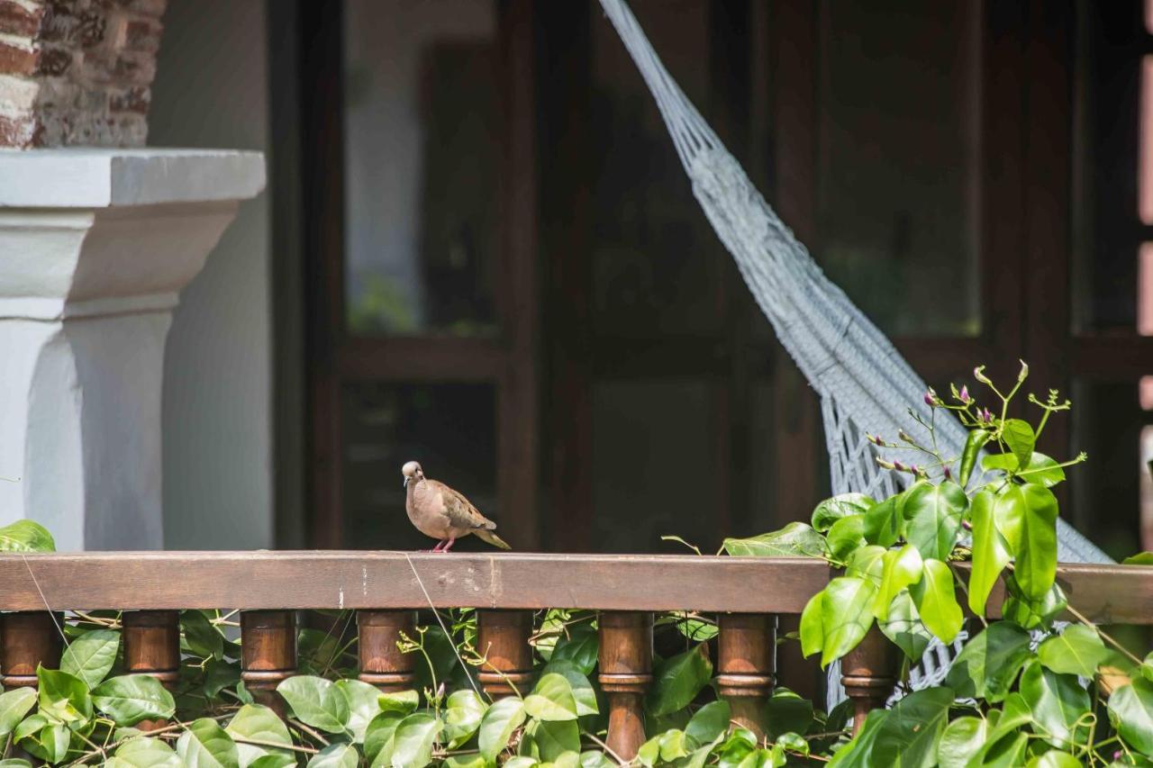 Hotel Boutique Casa Del Arzobispado Cartagena Εξωτερικό φωτογραφία