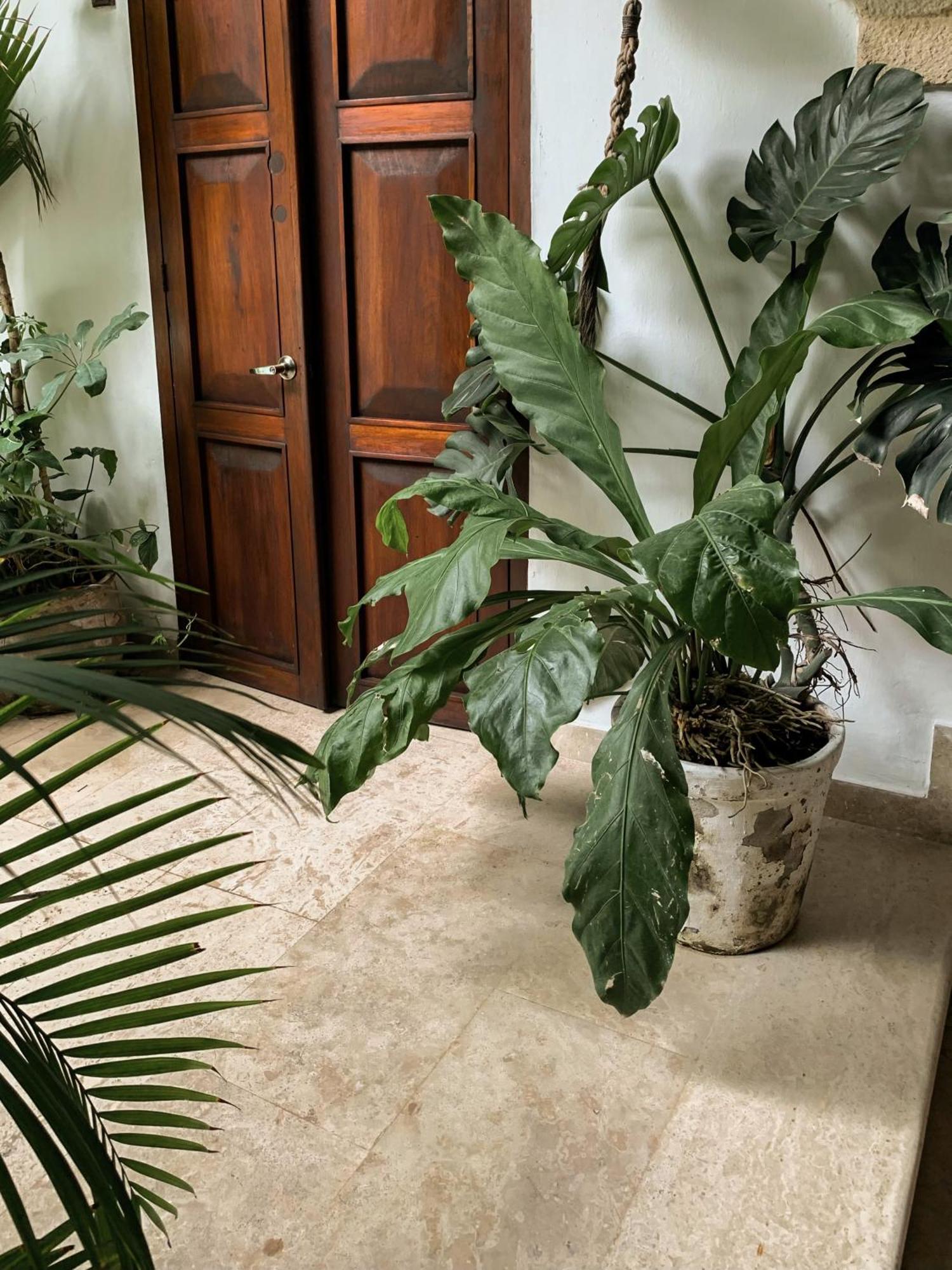 Hotel Boutique Casa Del Arzobispado Cartagena Εξωτερικό φωτογραφία